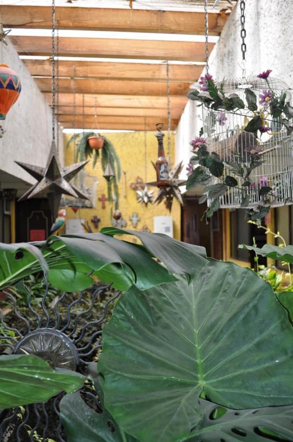 Hotel Tolotzin Toluca Extérieur photo